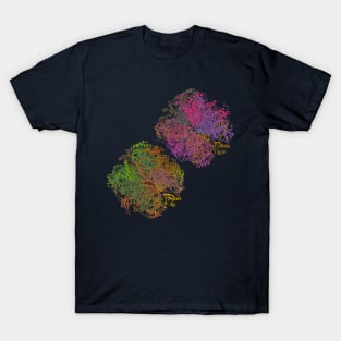 RuBisCo - Structure T-Shirt